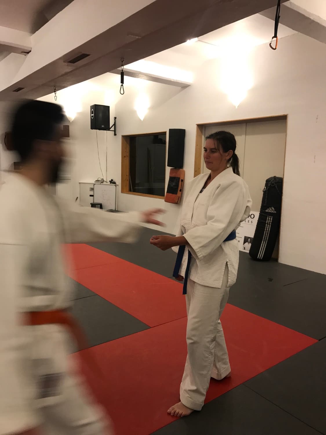 Aikido Kokikai Berlin — training photo 11