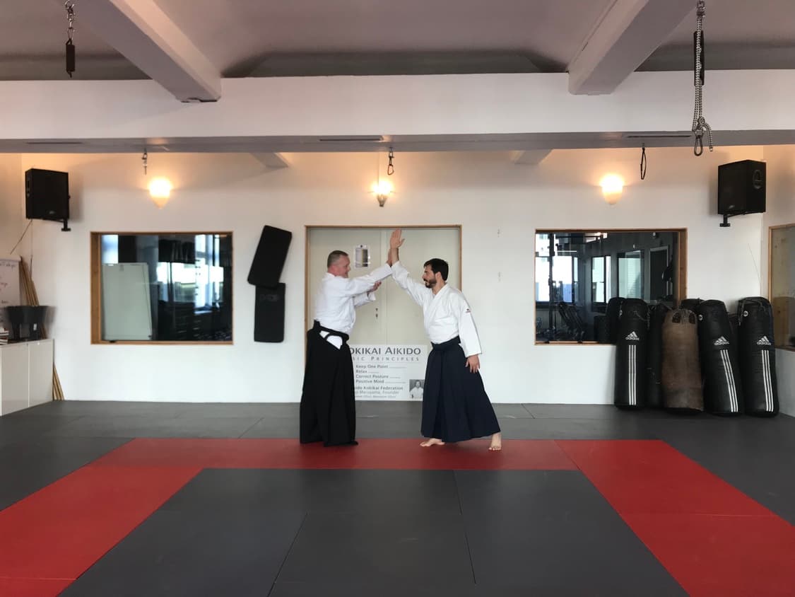 Aikido Kokikai Berlin — training photo 13