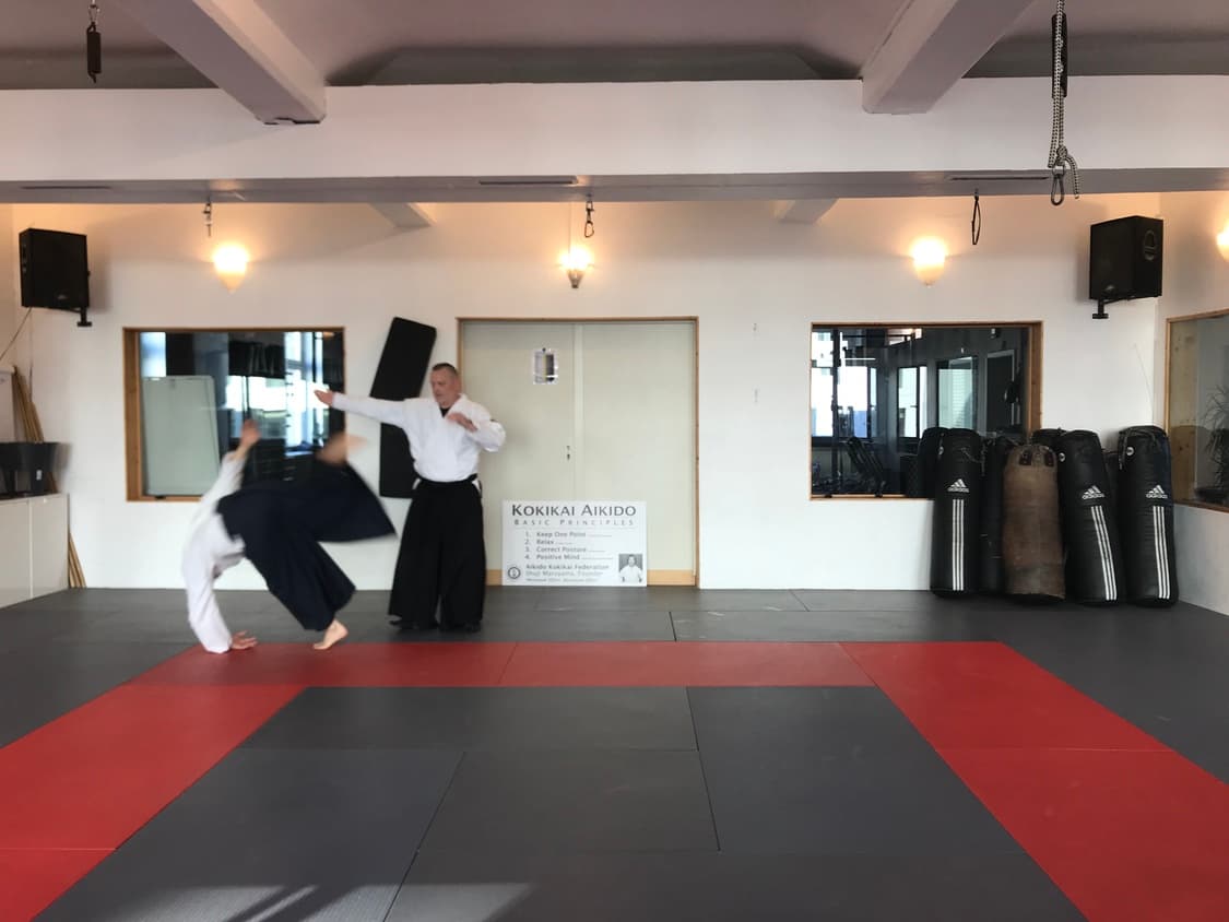 Aikido Kokikai Berlin — training photo 14