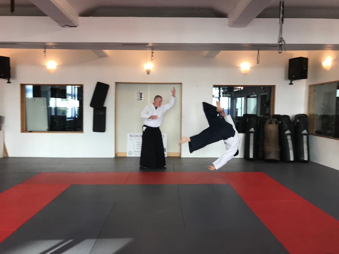 Aikido Kokikai Berlin — training photo 15