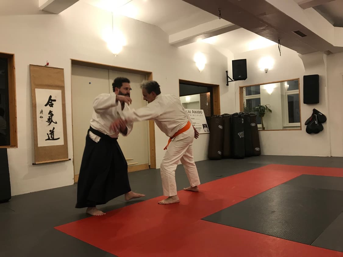 Aikido Kokikai Berlin — training photo 21