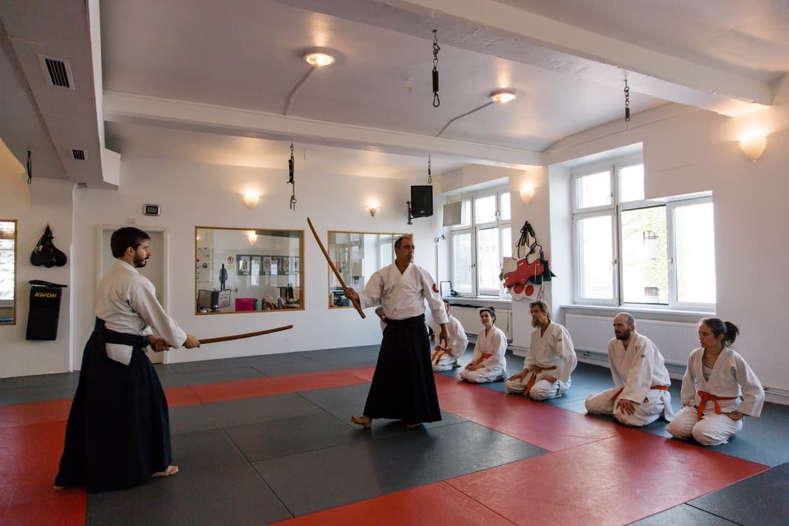 Aikido Kokikai Berlin — training photo 6